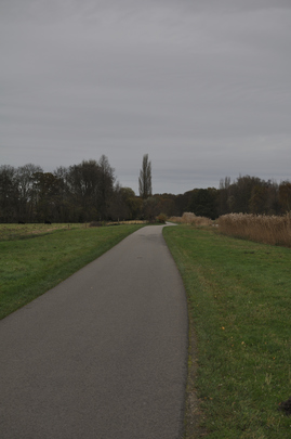 _dsc0033_20151114_polderweg.jpg