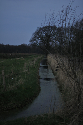 _dsc0291-20151220_sloot.jpg