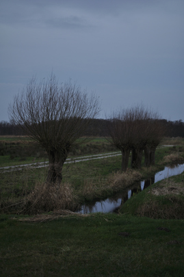 _dsc0298_20151220_wilgen.jpg