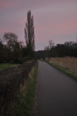 _dsc0320_20151220_polderweg.jpg