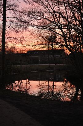 _dsc0336_20151229_winterochtend.jpg