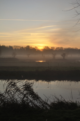 _dsc0420_20160101_polder.jpg