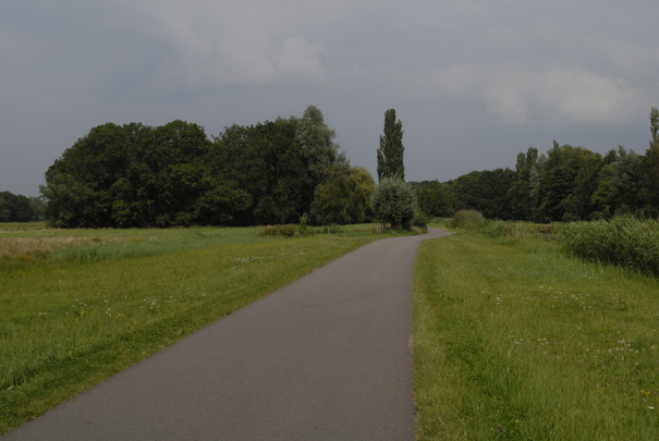 _dsc0425_20150814_polderweg.jpg