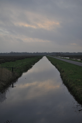 _dsc0503_20160109_naardermeersloot.jpg