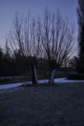 _dsc0543_20160117_wilgen.jpg