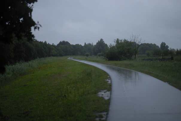 _dsc0570_20150817_polderweg.jpg