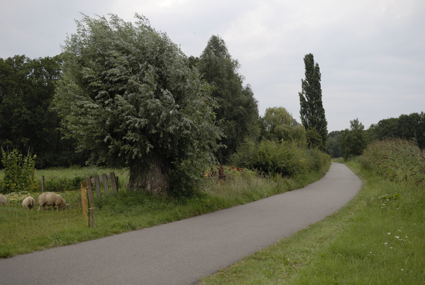 _dsc0744_20150823_polderweg.jpg