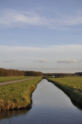 _dsc0765-20160228_sloot.jpg