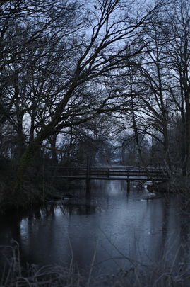 _dsc0775_20160305_polder.jpg