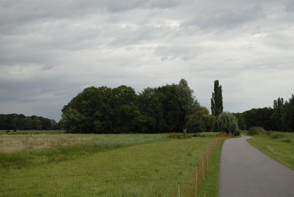 _dsc0788_20150826_polderweg.jpg