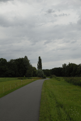 _dsc0823_20150826_polderweg.jpg
