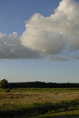 _dsc0852_20150902_polderavondlucht.jpg