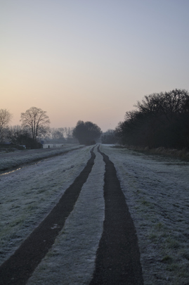 _dsc0888_20160312_winterochtend.jpg