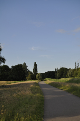 _dsc3104_20160429_polderweg.jpg
