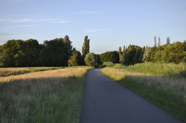 _dsc3205_20160711_polderweg.jpg