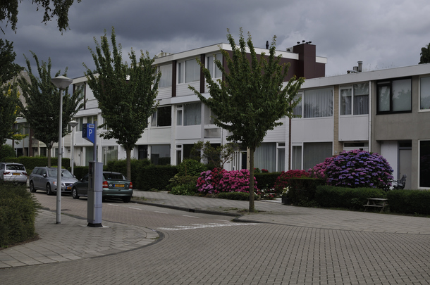 _dsc3487_opveld.jpg