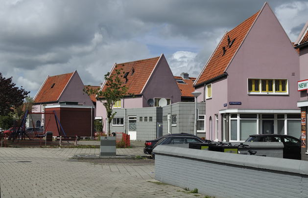 _dsc5202_dotterbloemstraat_00002.jpg