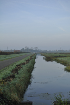 _dsc9955_20151031_blauwochtend.jpg