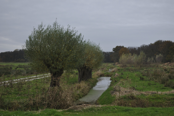 _dsc9971_20151108_wilgen.jpg