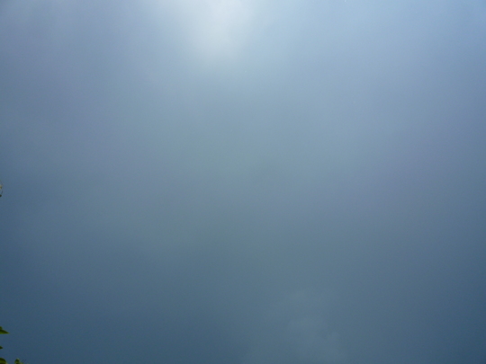 p1000543.jpg