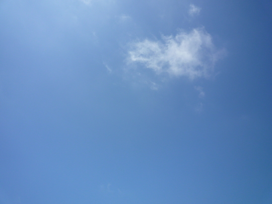p1000829.jpg