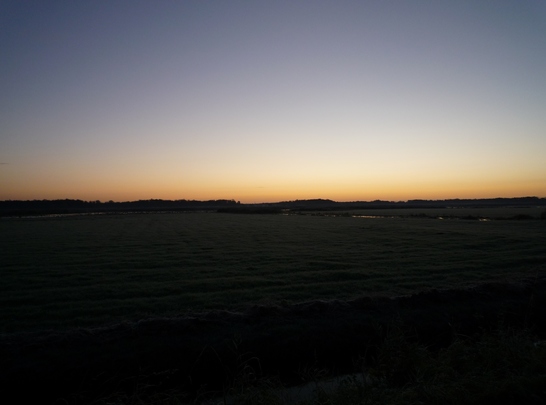 p1020368.jpg