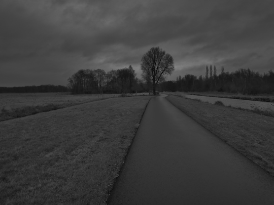 p1020556.jpg