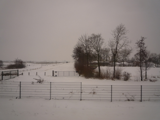 p1020930.jpg