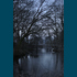 _dsc0775_20160305_polder.jpg
