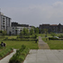 _dsc2392_bosenlommerplantsoen_mienruys_ontwerp.jpg