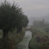 _dsc9815_20151018_wilgen.jpg