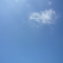 p1000829.jpg