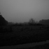 p1020588.jpg