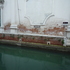 p1030676.jpg